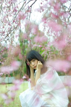 韓國恐怖片大全